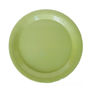 10 assiettes vert pistache...