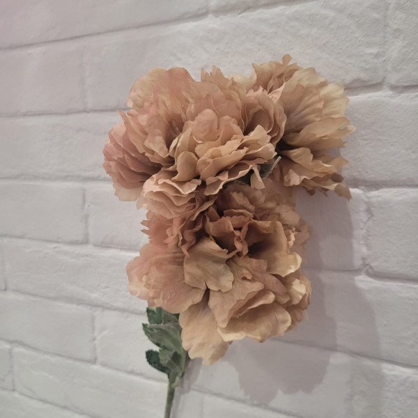 Tige 3 pivoines Taupe