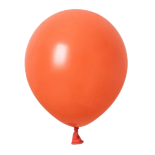10 Ballons Corail - 30cm