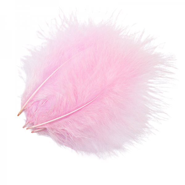 Plume Rose Poudré X10