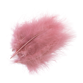 Plume Vieux Rose X10