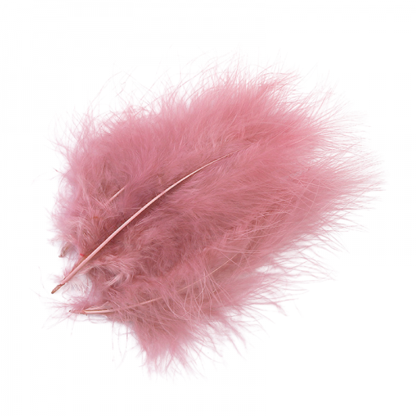 Plume Vieux Rose X10