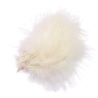 Plume Champagne X10