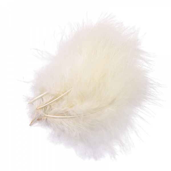 Plume Champagne X10