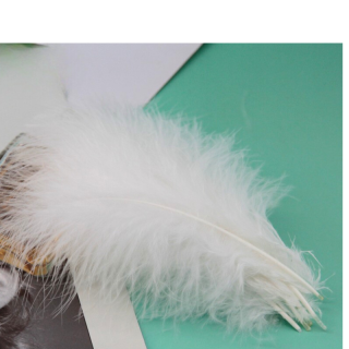 Plume Blanche X10