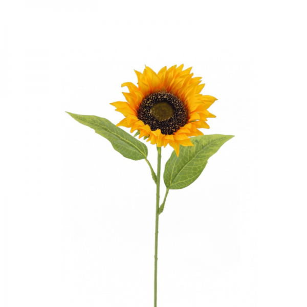 Tige de Tournesol - 50cm