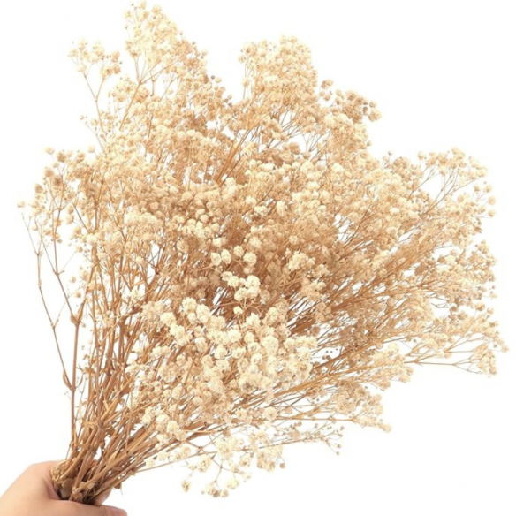 Gypsophille séché blanc, 120g