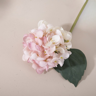 Tige Hortensia Dégradé Rose - 30cm