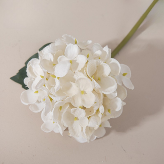 Tige Hortensia Blanc - 30cm