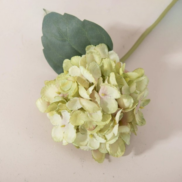 Tige Hortensia Vert - 30cm