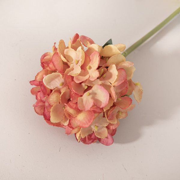 Tige Hortensia Dégradé Orange - 30cm