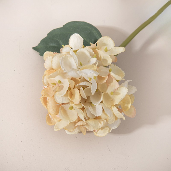Tige Hortensia Dégradé Crème - 30cm