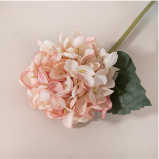 Tige Hortensia Rose Blush...