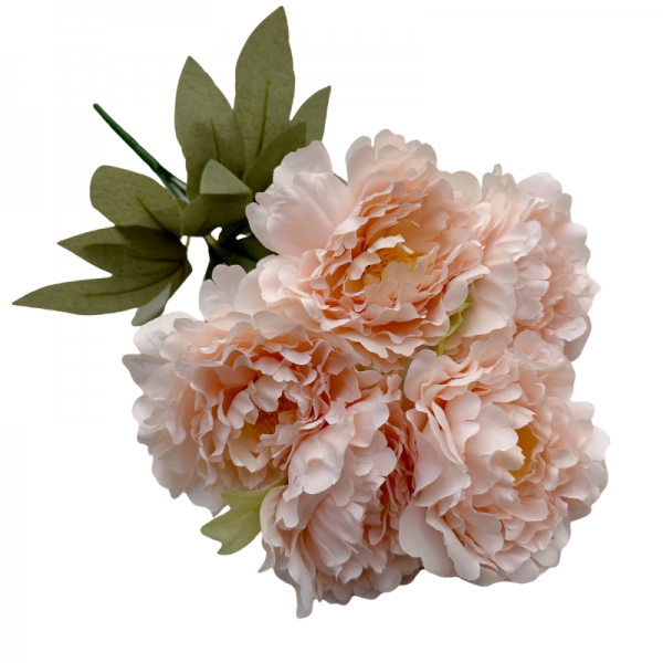 Bouquet de 5 pivoines Pêche
