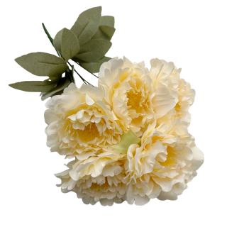 Bouquet de 5 pivoines Ivoire