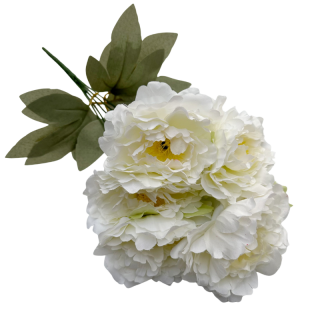 Bouquet de 5 pivoines Blanche