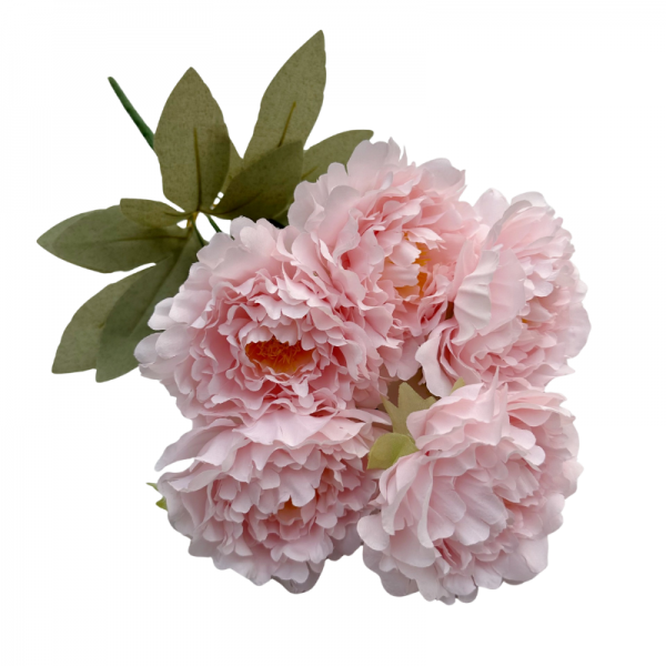 Bouquet de 5 pivoines Rose