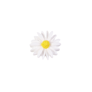 10 Marguerites en résine - 2,5cm