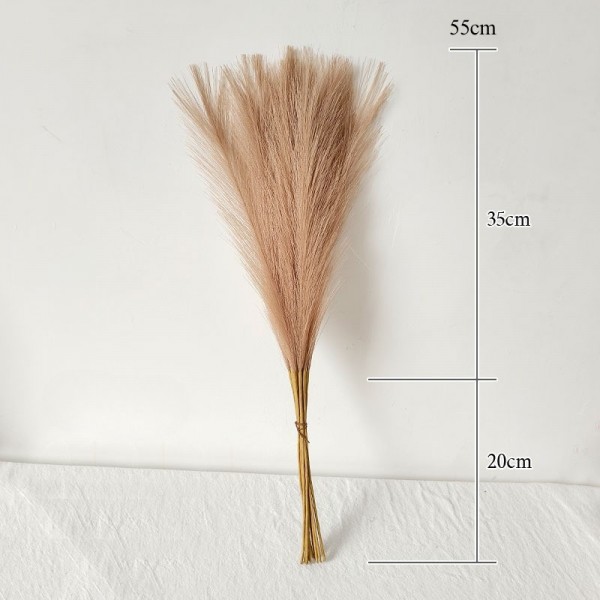 Tige pampa synthétique Café - H53cm