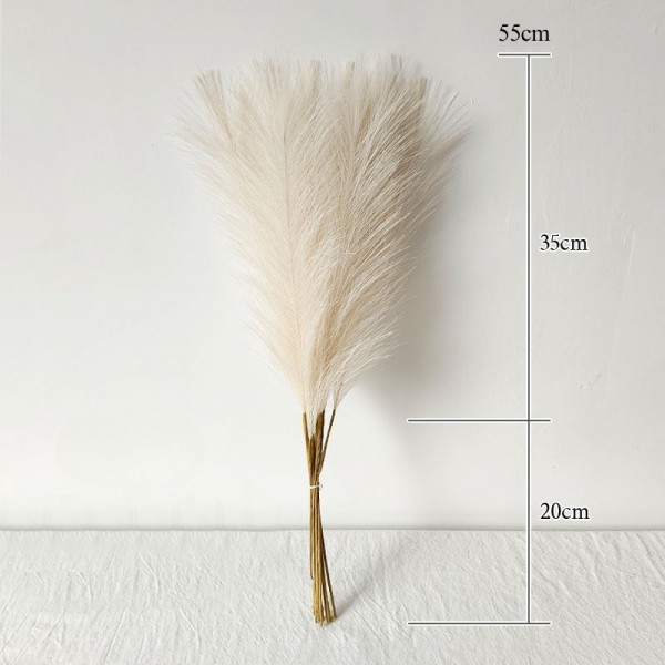 Tige pampa synthétique Beige- H53cm