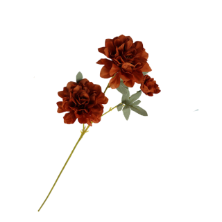 Branche de dahlia...