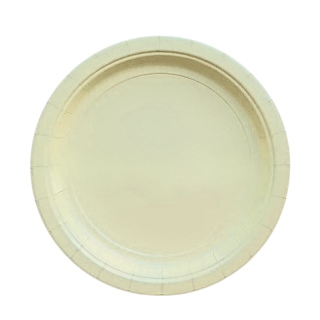 10 assiettes ivoire cartonnées