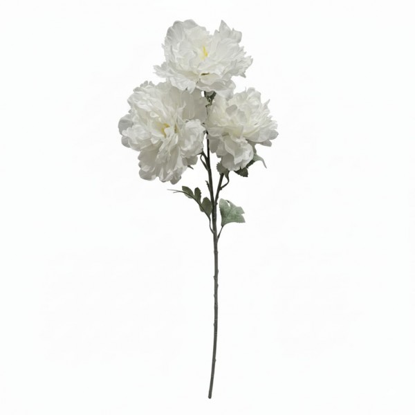 Tige 3 pivoines Blanche