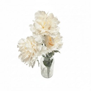 Tige 3 pivoines Ivoire
