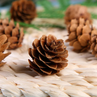 10 pomme de pin- 3cm