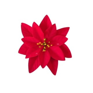 Poinsettia Rouge -14cm