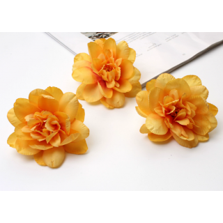 Pivoine Safran - 8x8cm