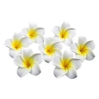 Fleur de frangipanier artificielle (paquet de10)