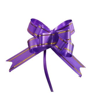 Noeuds automatique violet