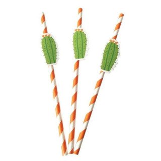 10 pailles orange à rayures cactus
