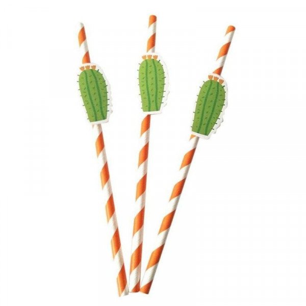 10 pailles orange à rayures cactus