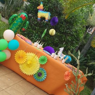 decoration anniversaire lama